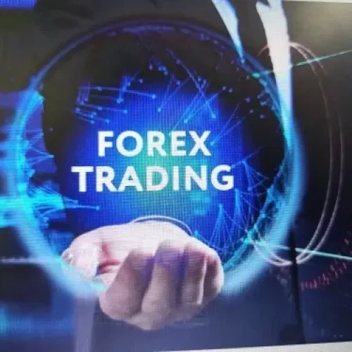 Forex Consultants & Service